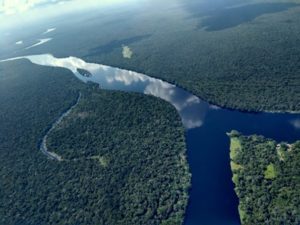 Satellite photo of a river